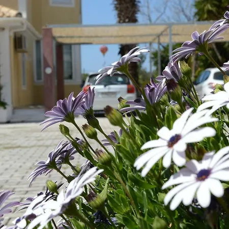Appartement Acqui *